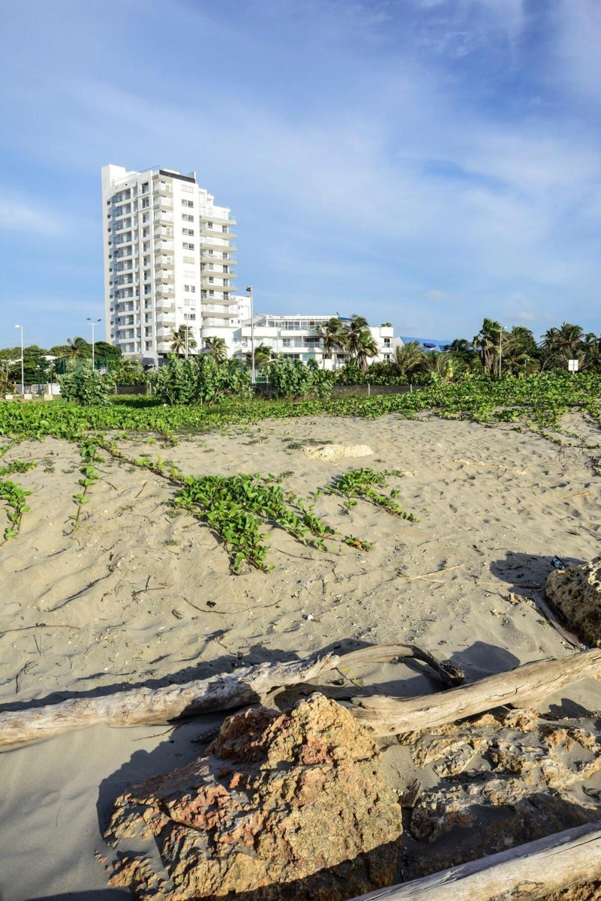 Frontbeach Highspeed Internet *